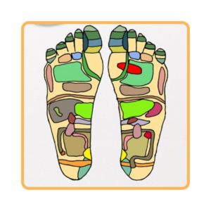 les zones réflexes du pied