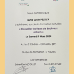 attestation formation fleur de bach enfant