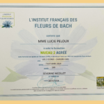 attestation formation fleurs de bach niveau 2