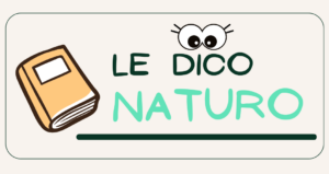 naturopathie bien-être